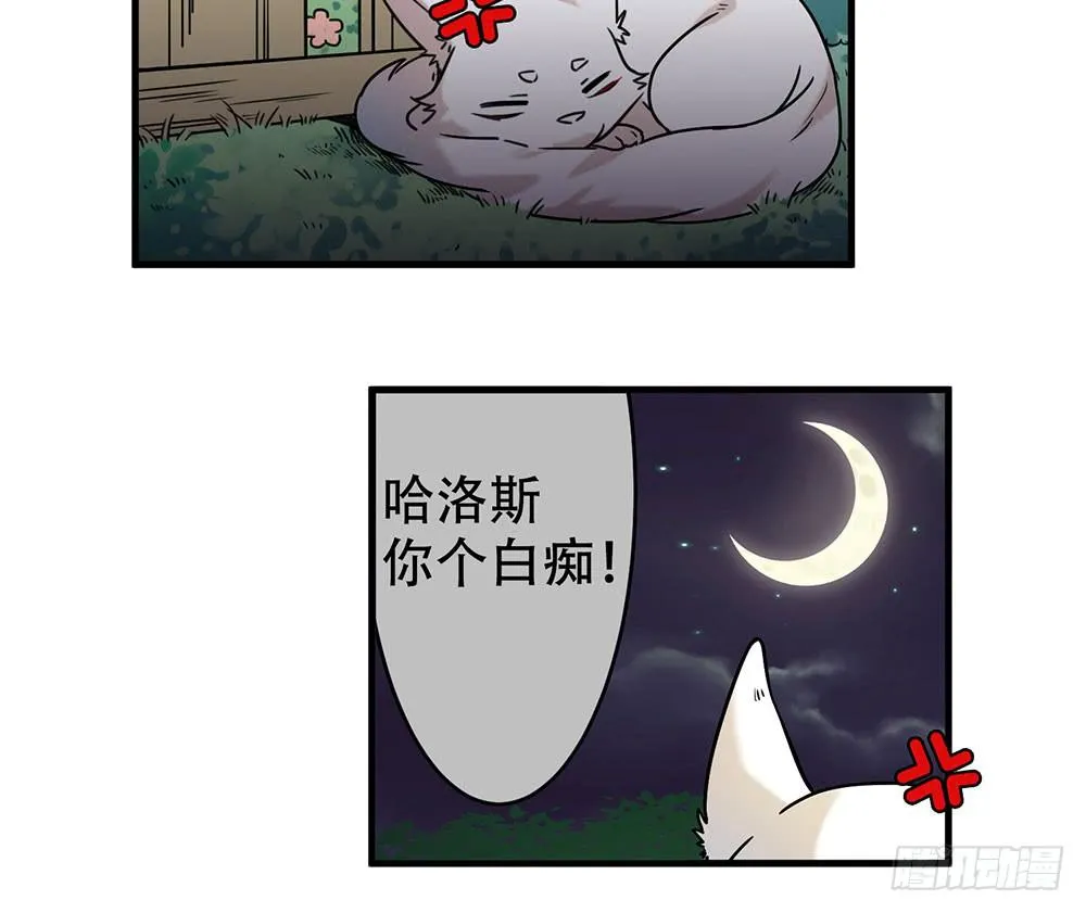 白狐与雀儿 第4页