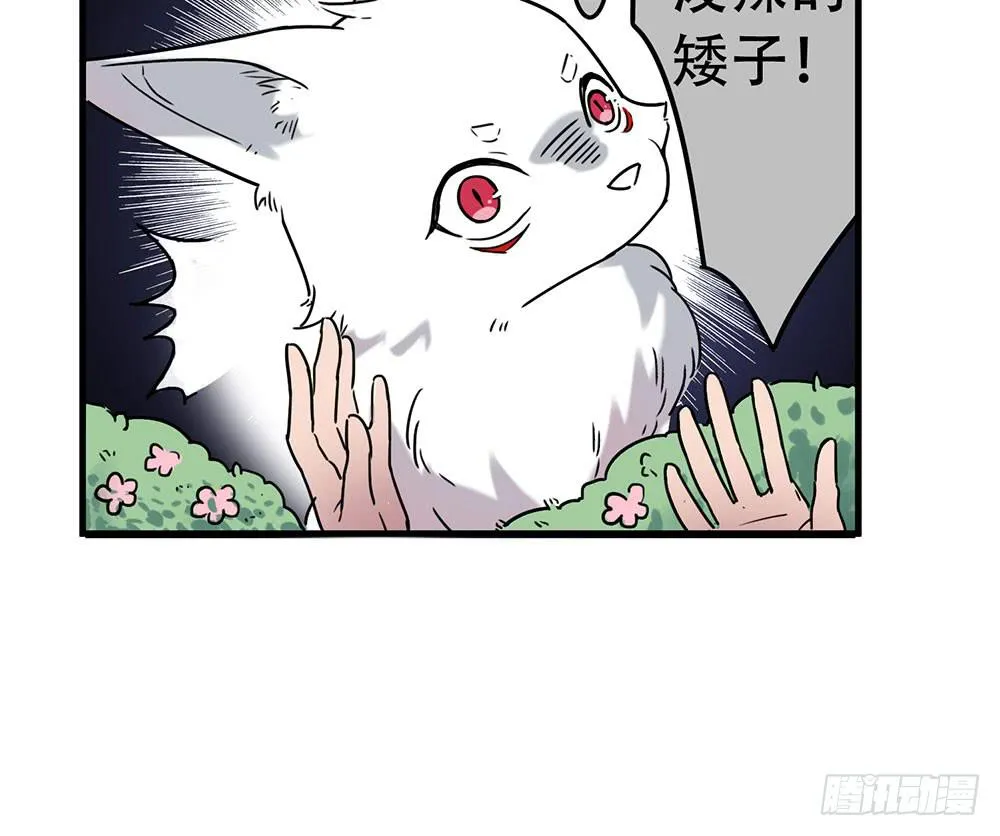 白狐与雀儿 第9页