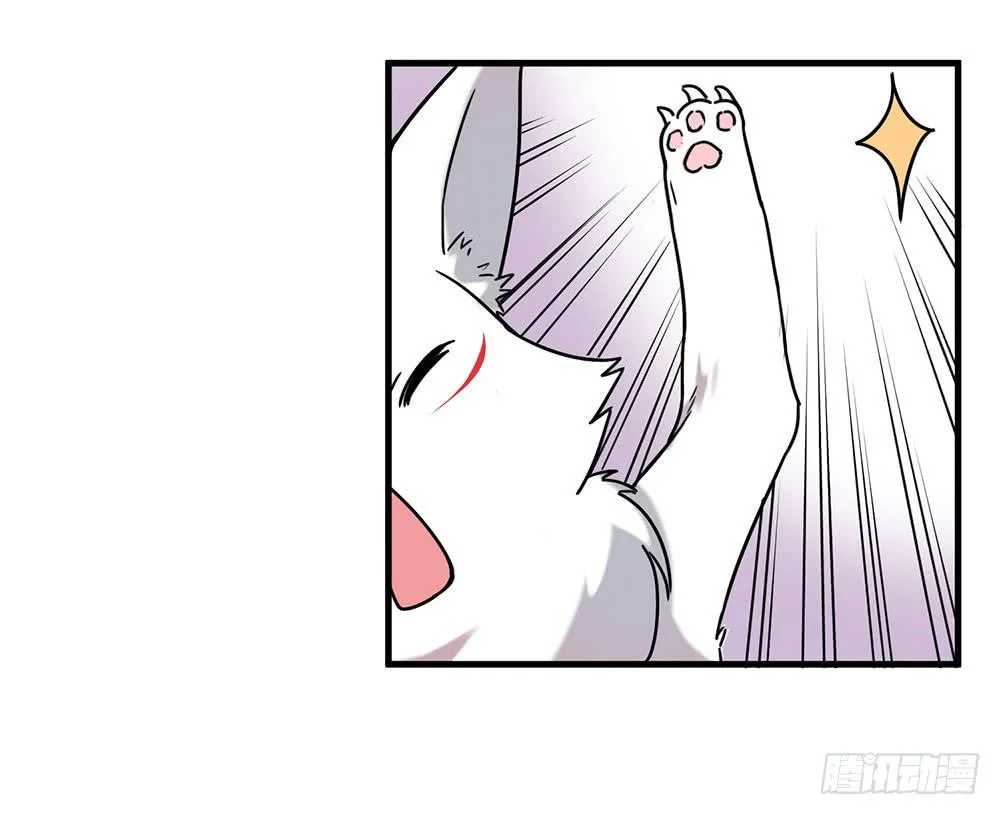 白狐与雀儿 第11页