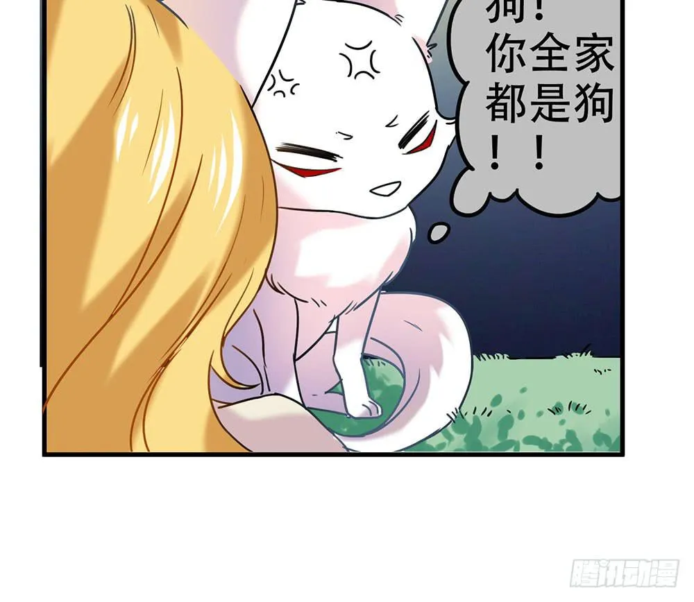 白狐与雀儿 第19页