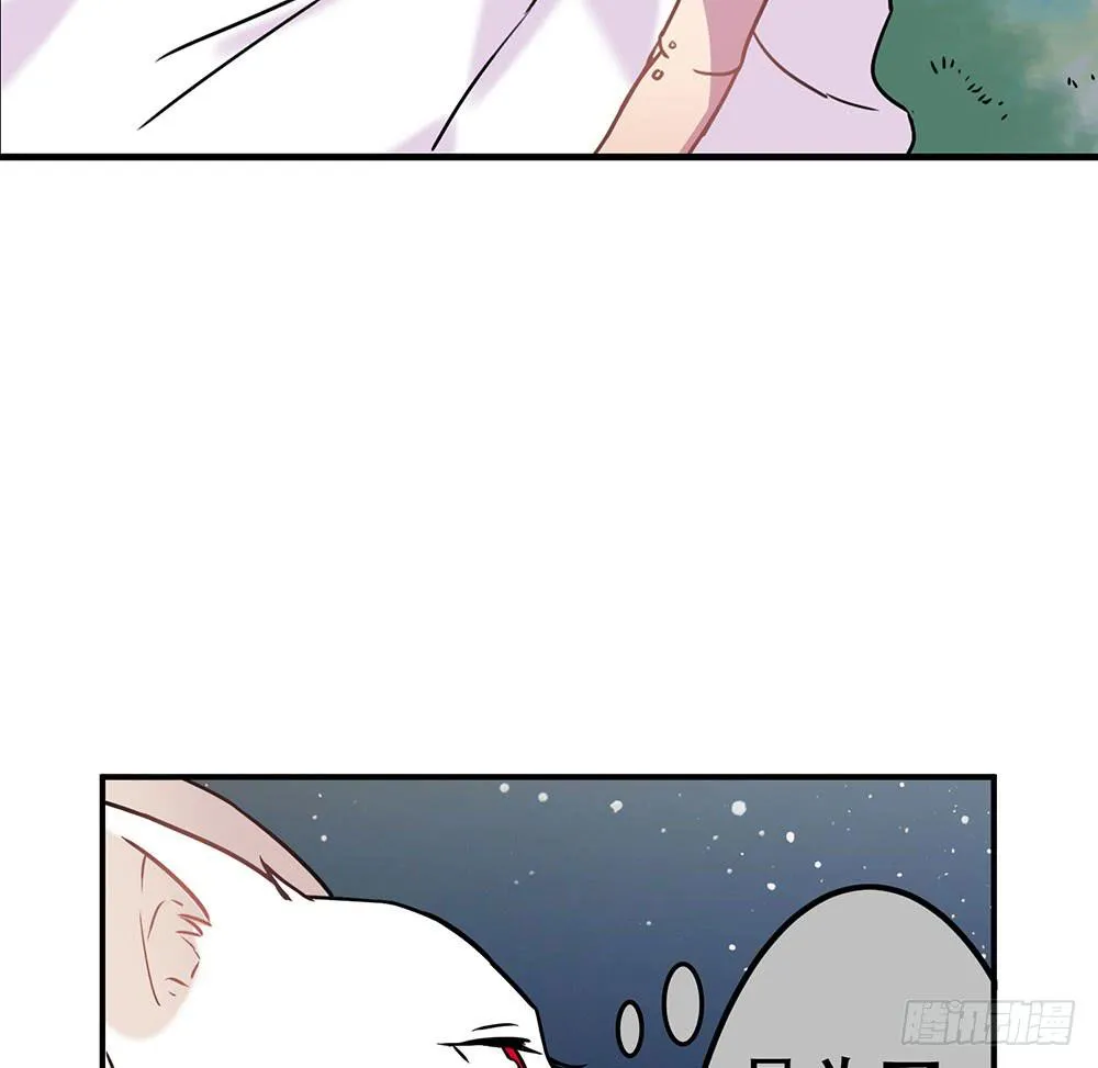 白狐与雀儿 第27页