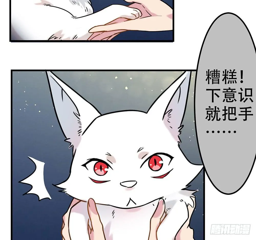 白狐与雀儿 第33页