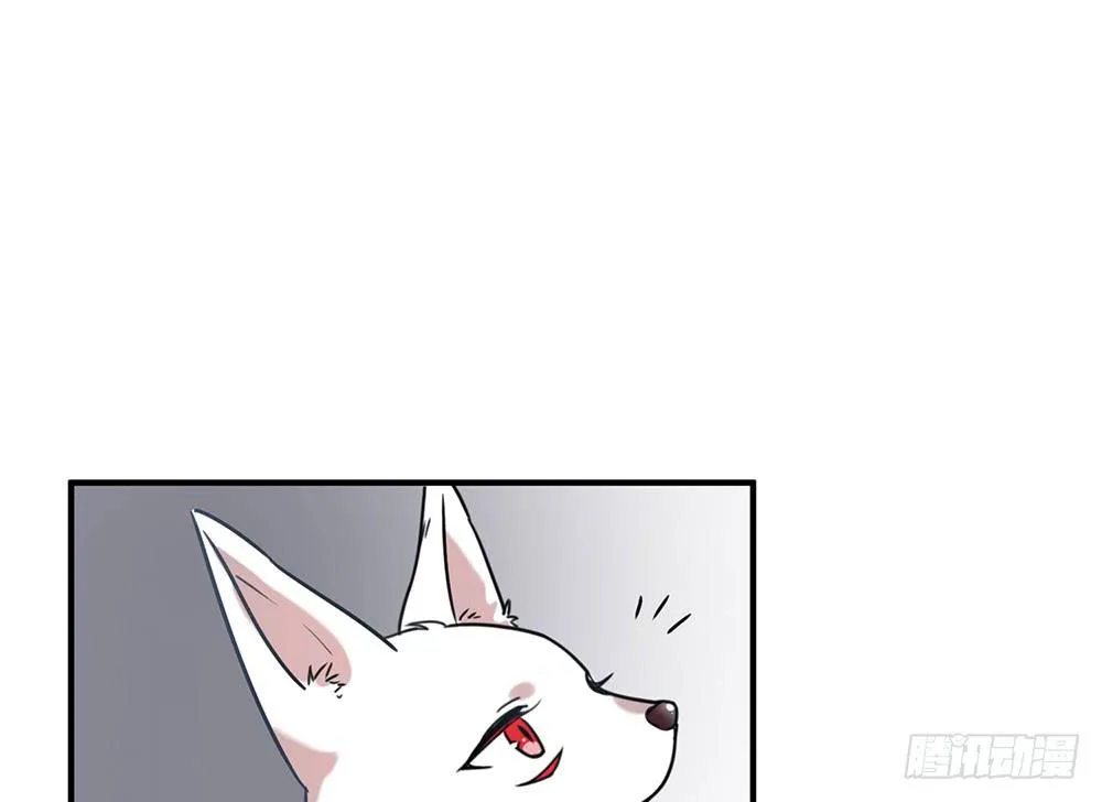 白狐与雀儿 第41页