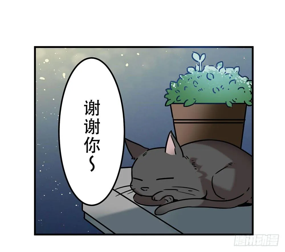 白狐与雀儿 第70页