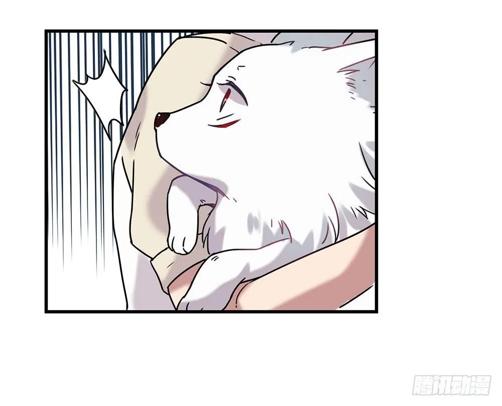 白狐与雀儿 第75页