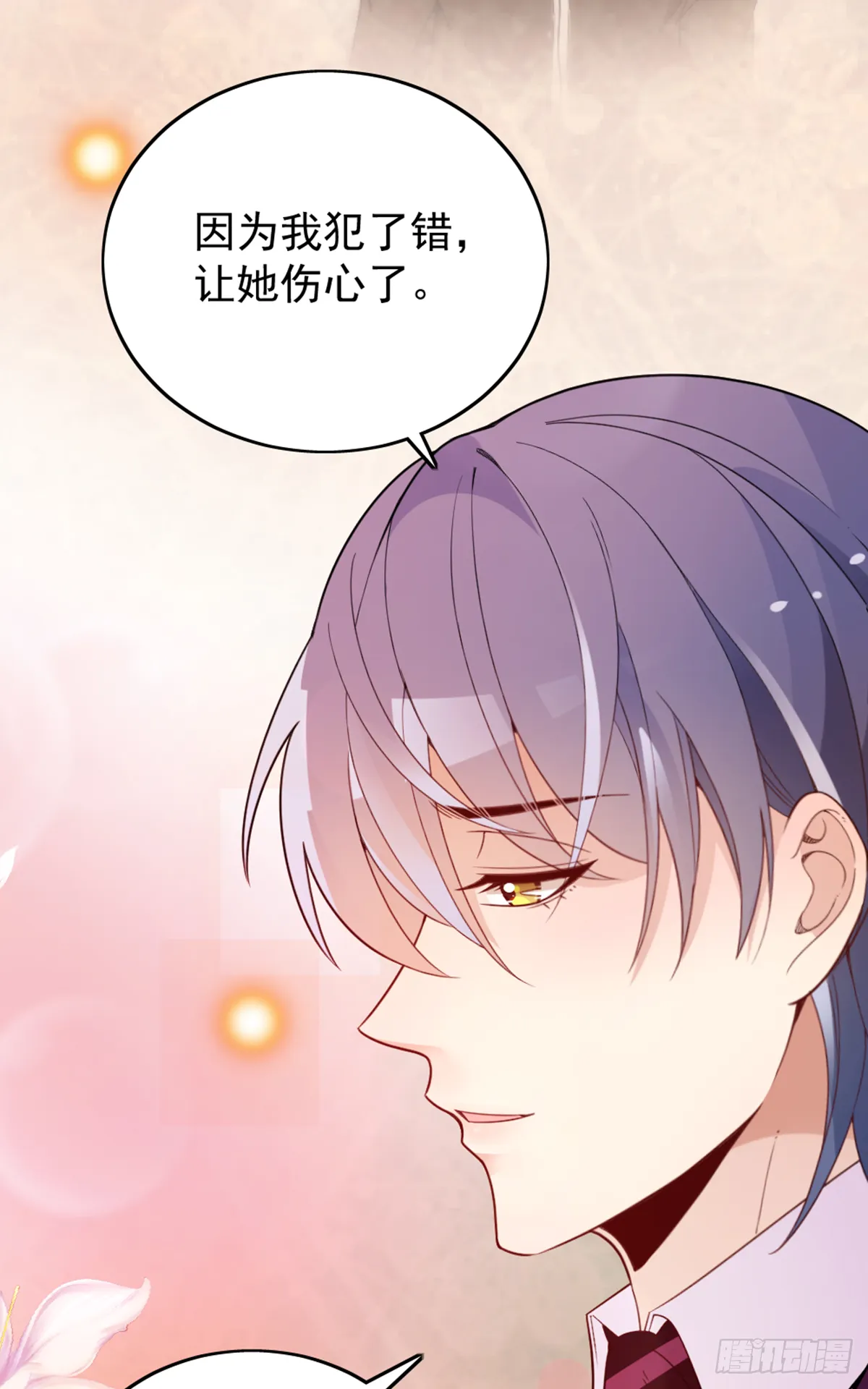 公布沈太太 第27页