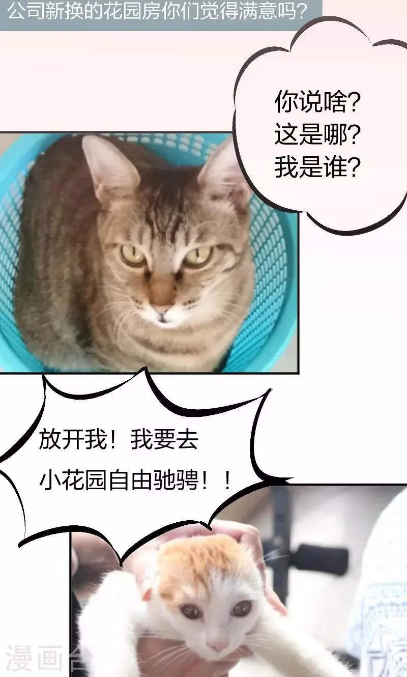 第14话 吃香喝辣的书灵 第18页