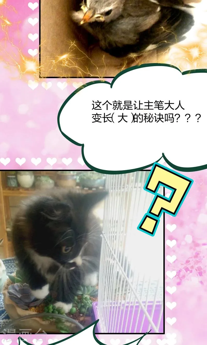 第17话 美丽的小土壤 第25页