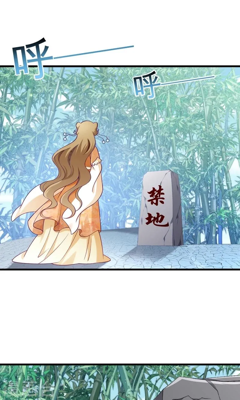 第50话 再闯禁地 第37页