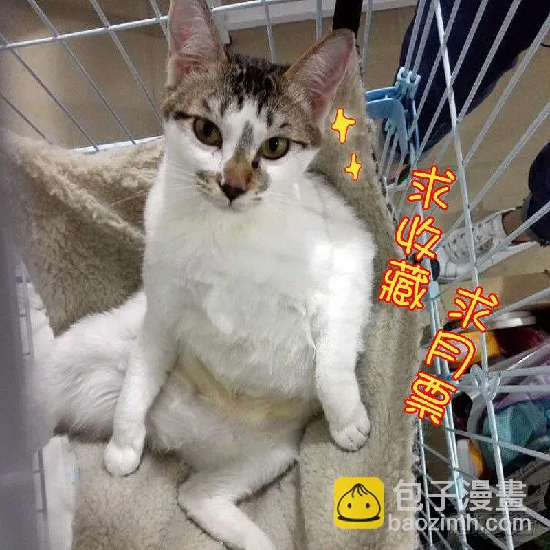 107保释李欢（下） 第11页