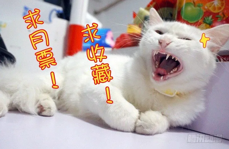 108剪不断的纠缠（上） 第12页