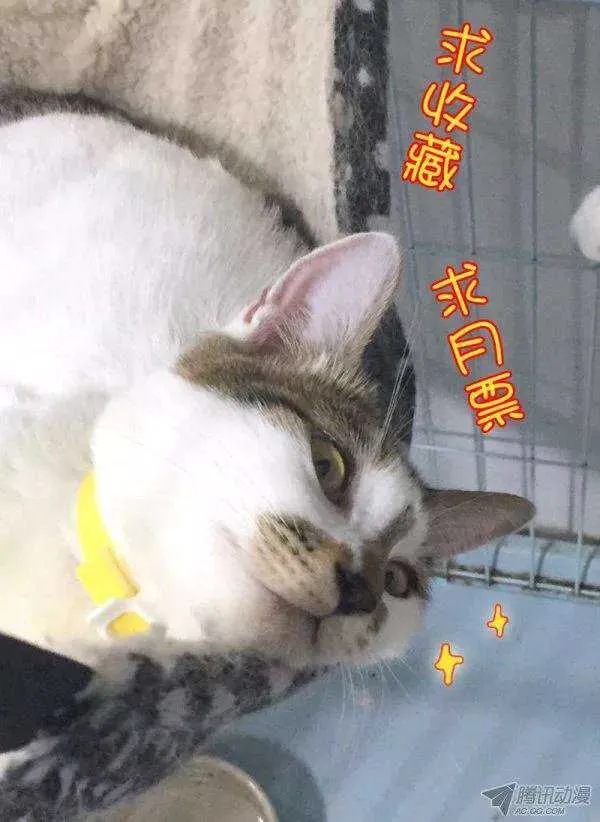 112话题美男的前妻（下） 第11页