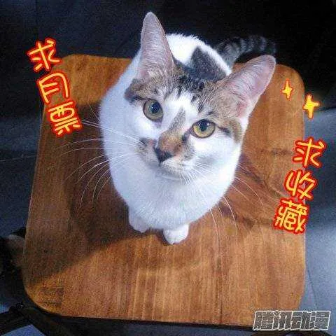 118帝王别墅的女人（上） 第12页