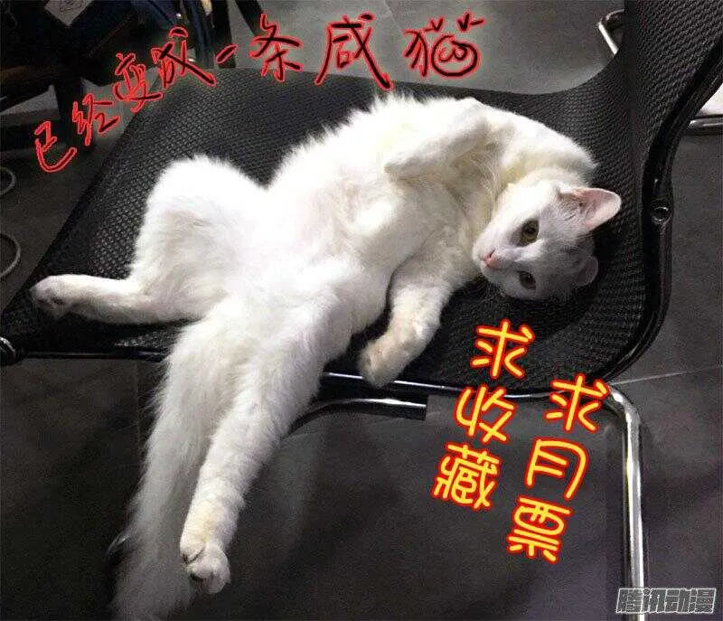 117叶夫人的天罗地网（下） 第12页