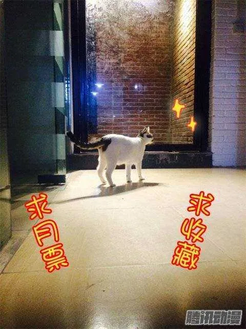 124和叶嘉的第一道裂痕（上） 第12页