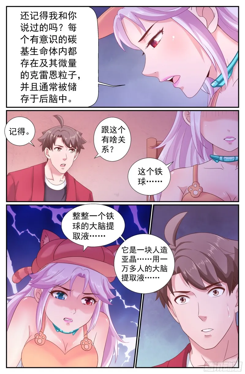 216 金苹果 第12页