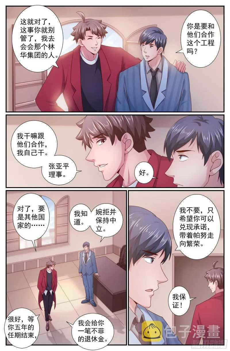 239 血本无归的林华集团 第3页