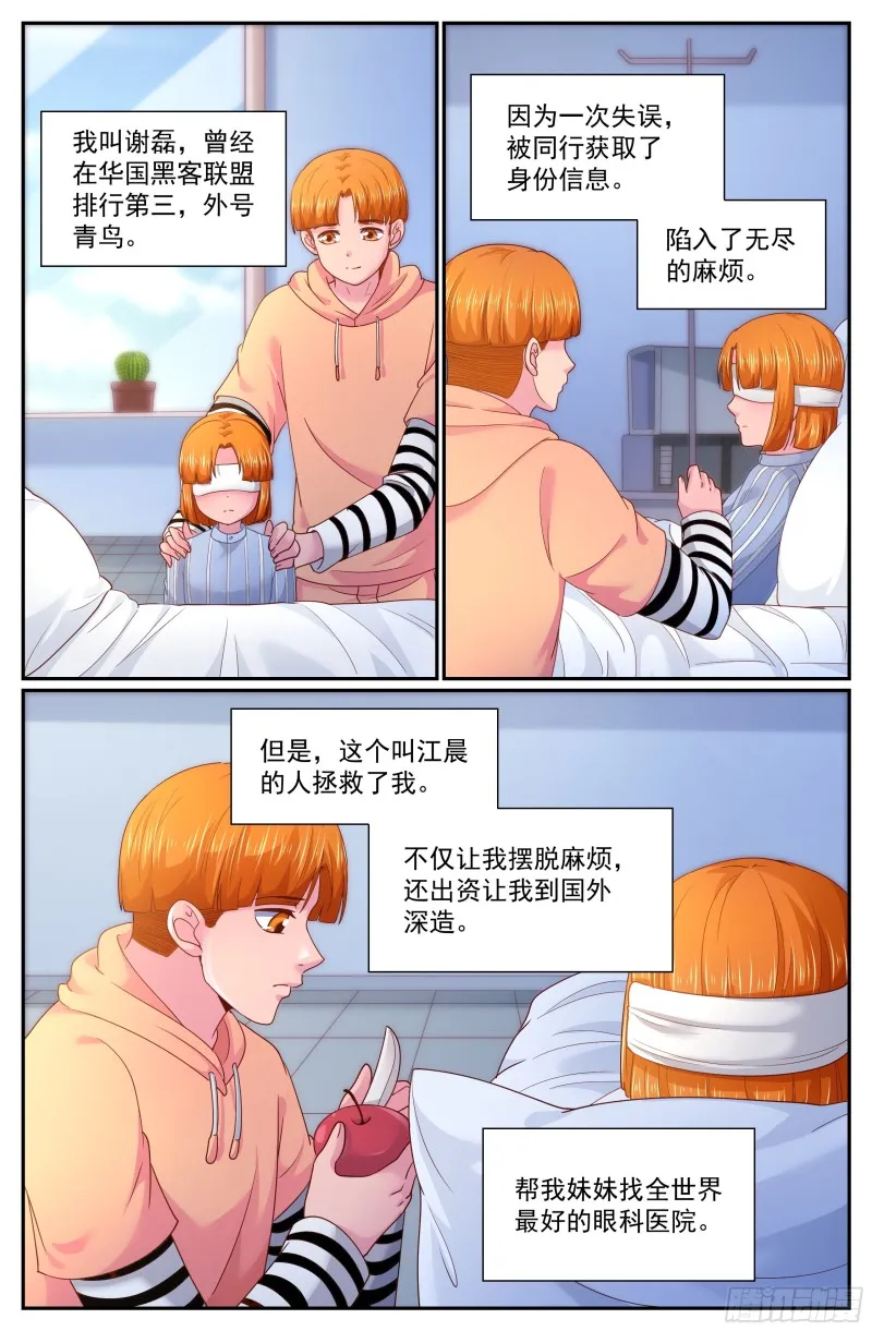265 间谍 第10页