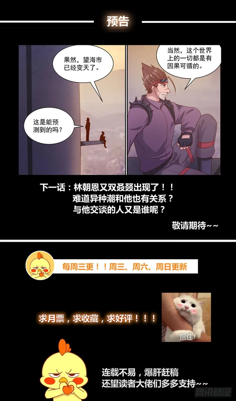 286 西线困局 第13页