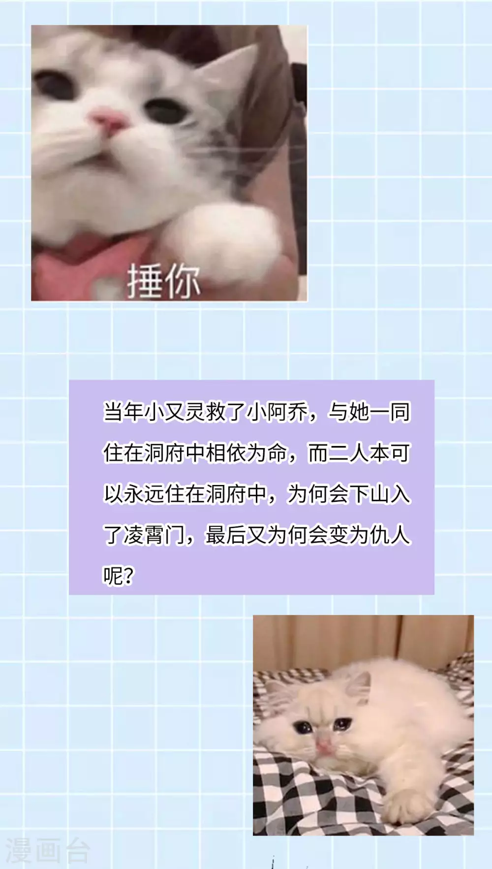 第78话 白色暖阳 第55页