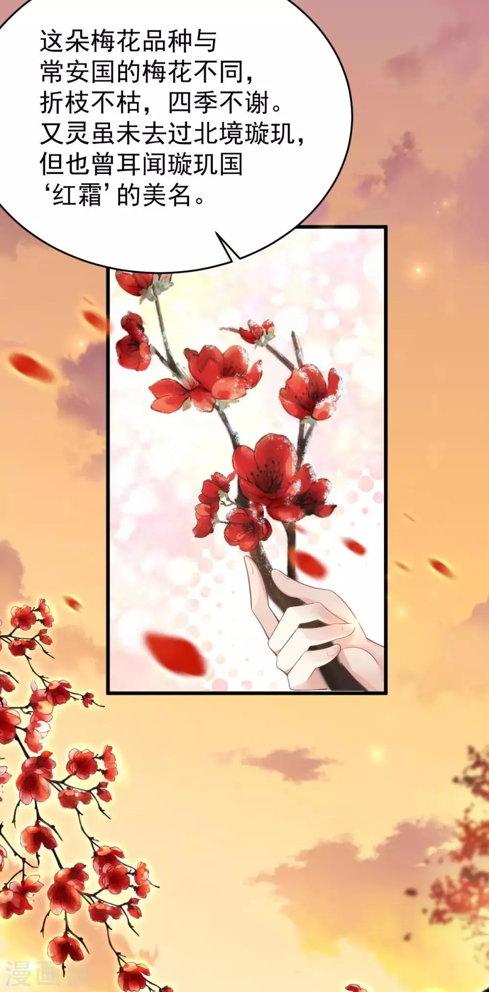 第29话 上上签？ 第6页