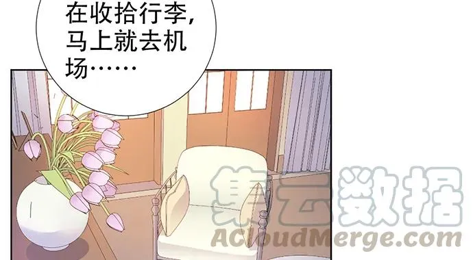 196.更高的山峰 第11页