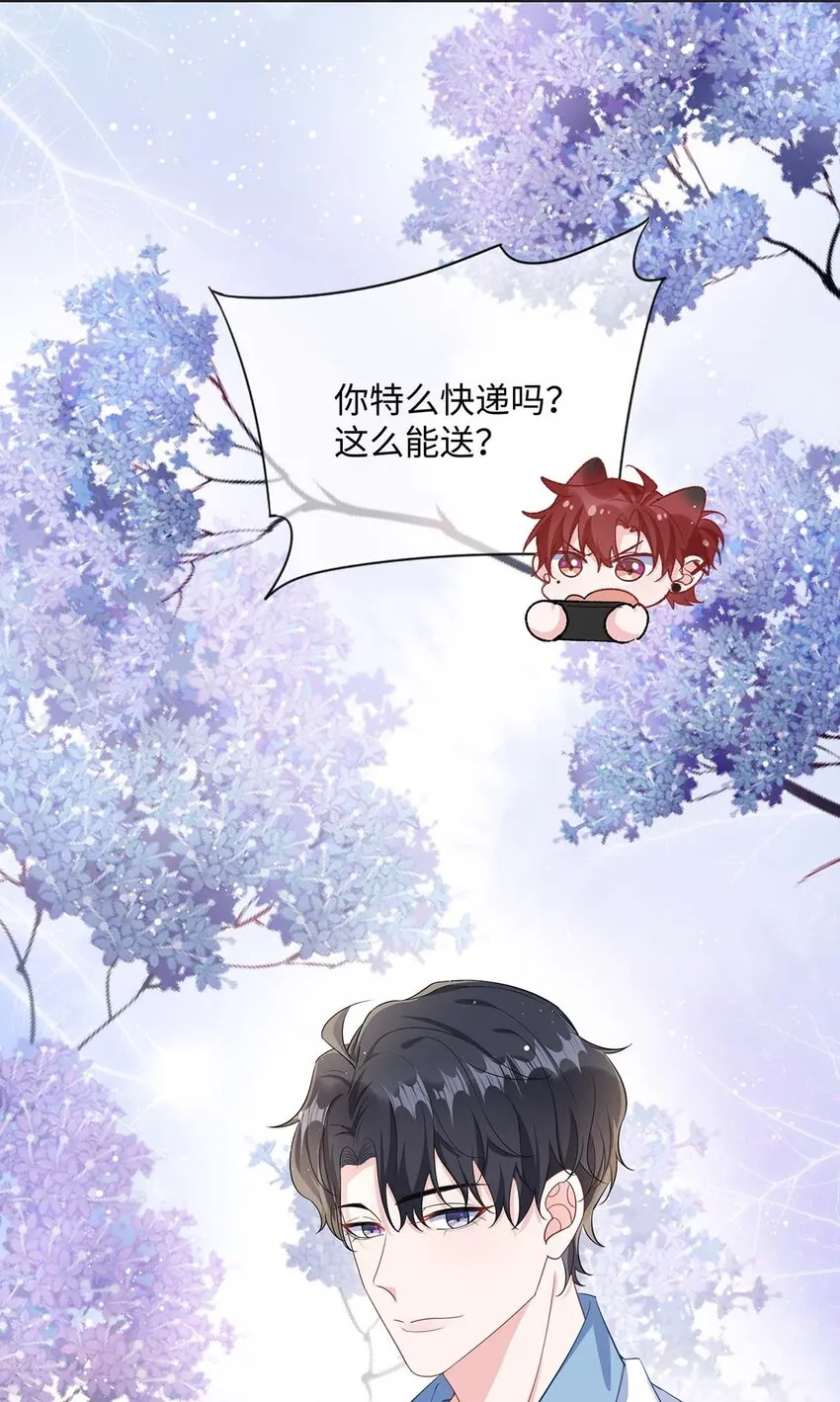 042 这么疼呀？ 第41页