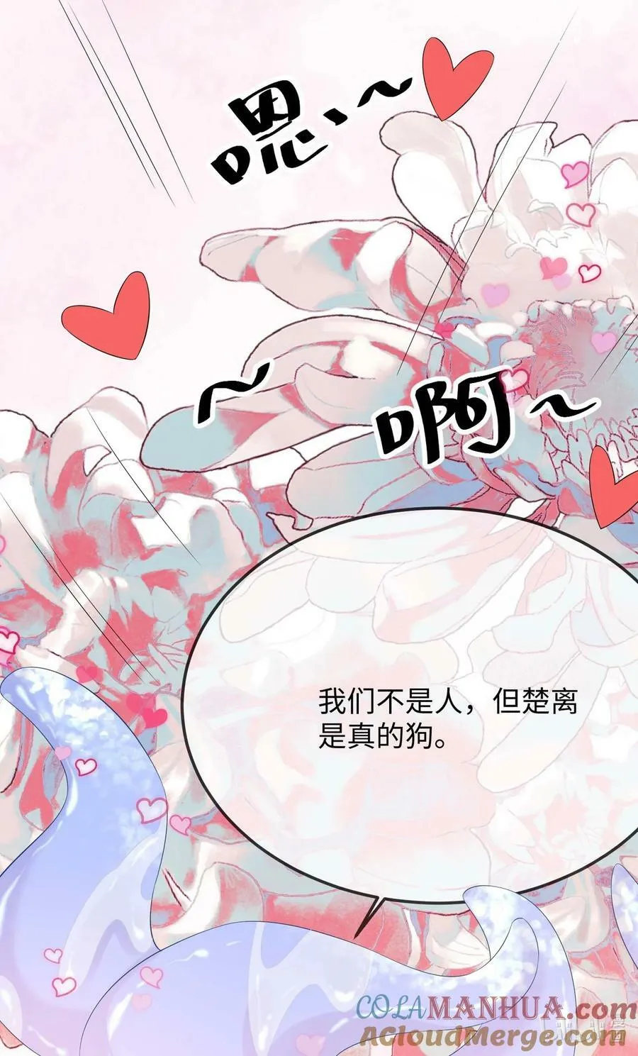 公告 新卷限时福利 第2页