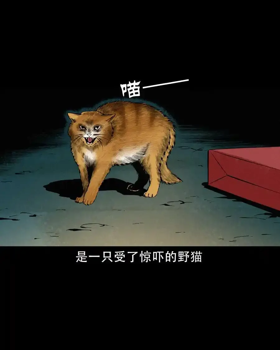 624 我看见了我自己 第12页