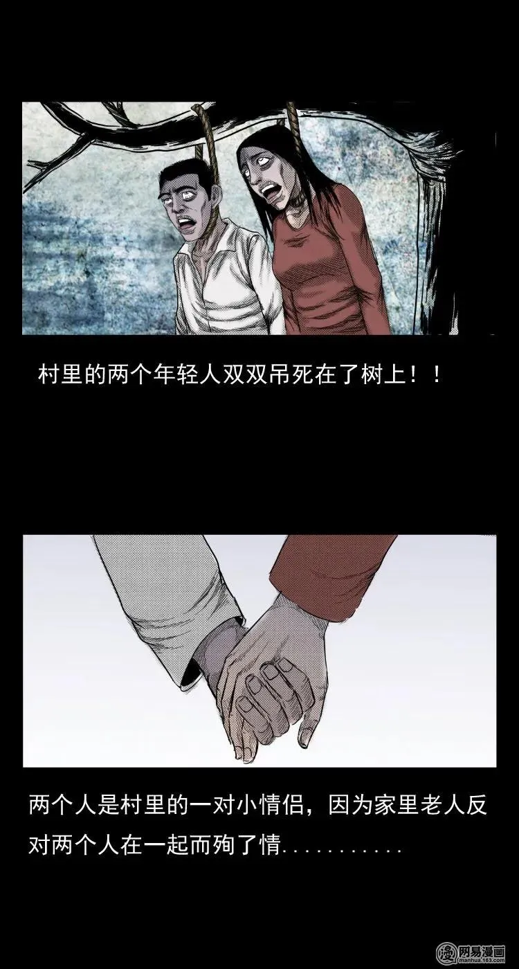 29 古树 第11页