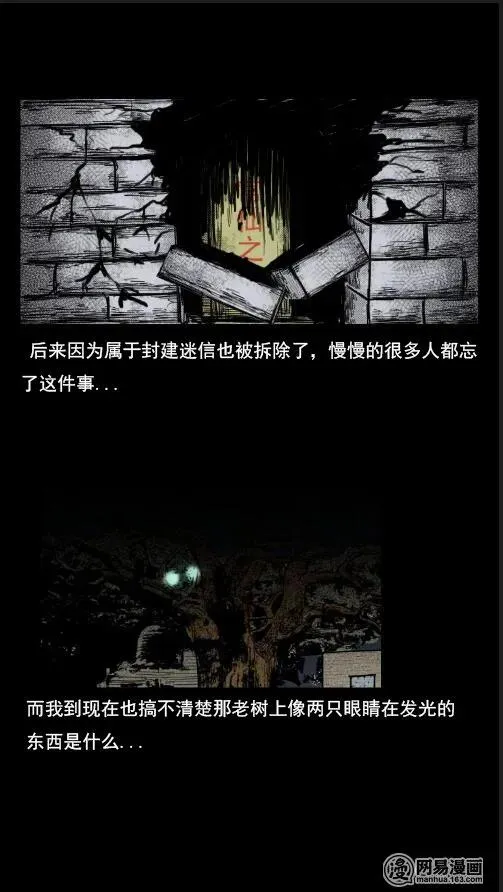 29 古树 第29页