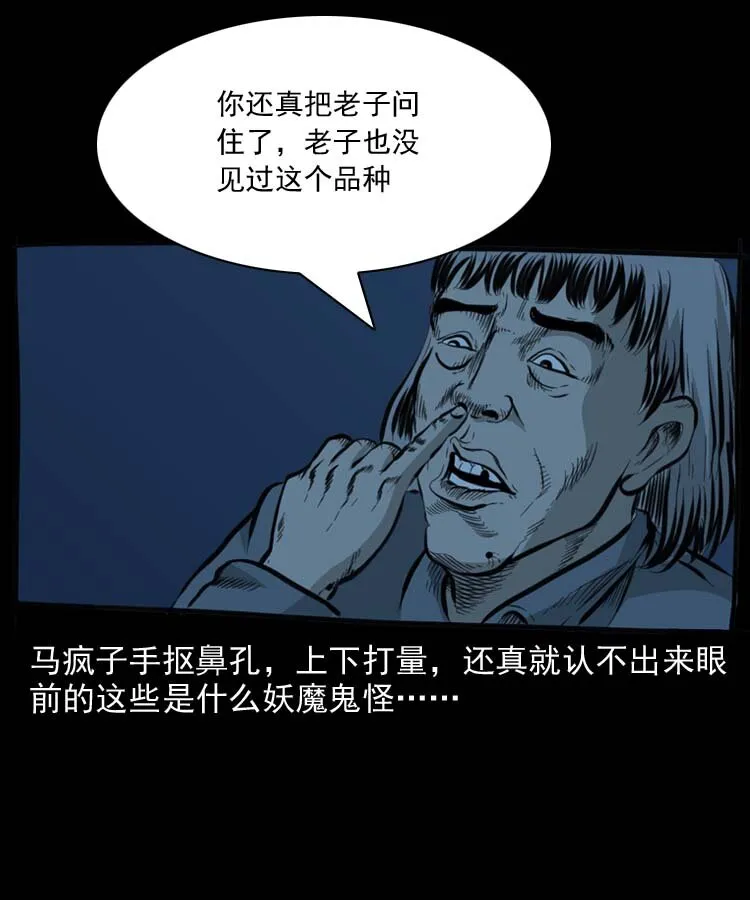 特别篇 万圣节特辑 第17页