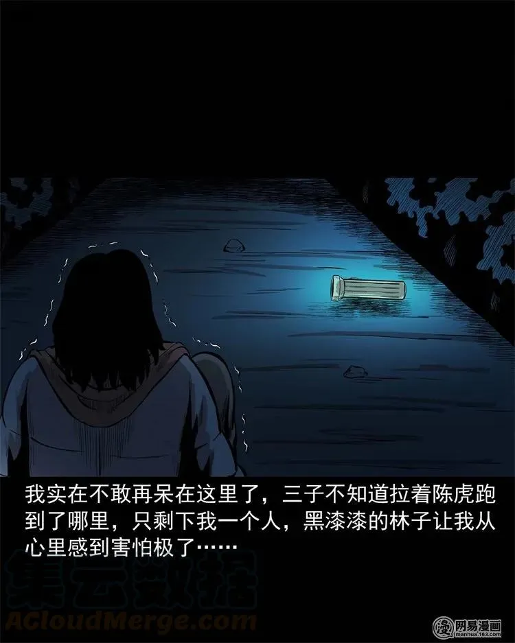 228 林中诡事 第41页