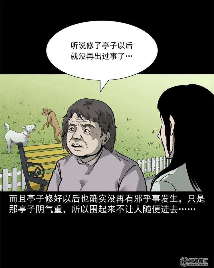 244 镇魂亭 第42页