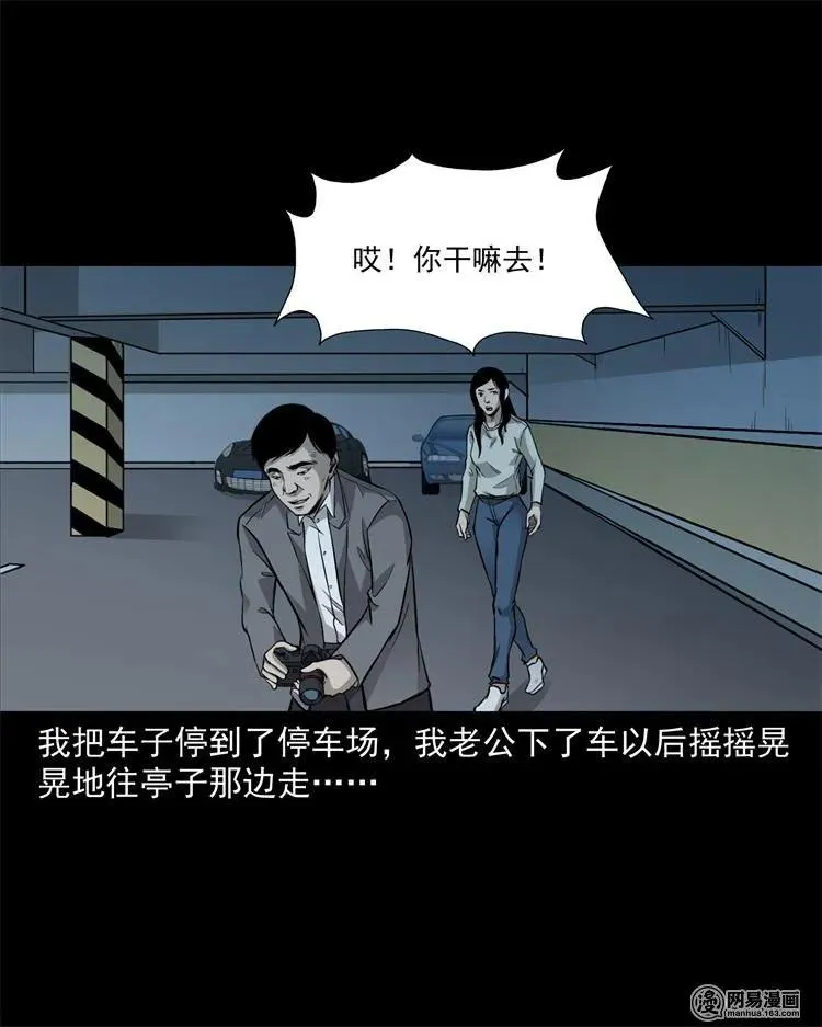 244 镇魂亭 第48页
