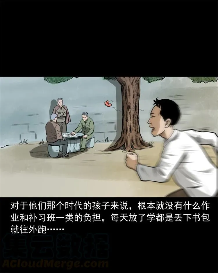 260 一块弹片 第5页