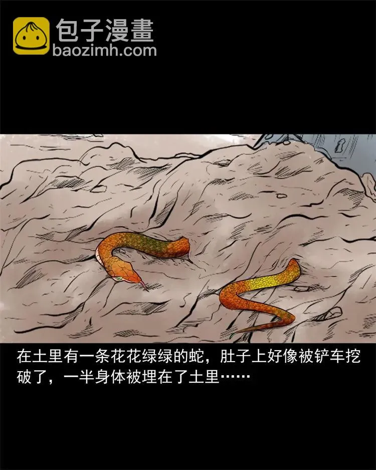270 善报 第24页