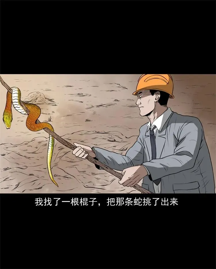 270 善报 第26页