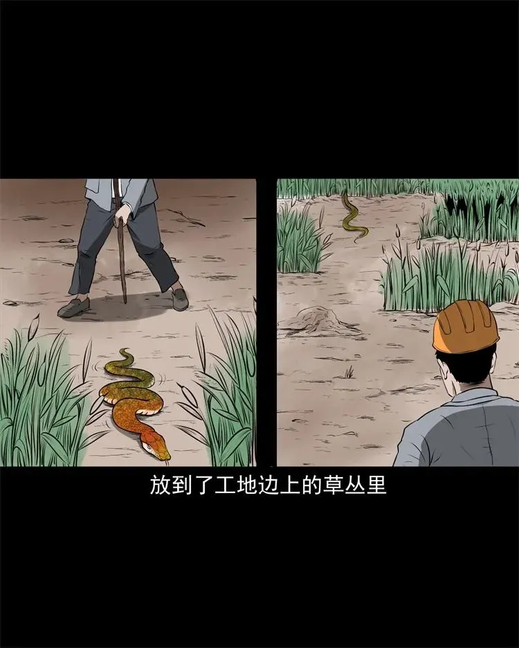 270 善报 第27页