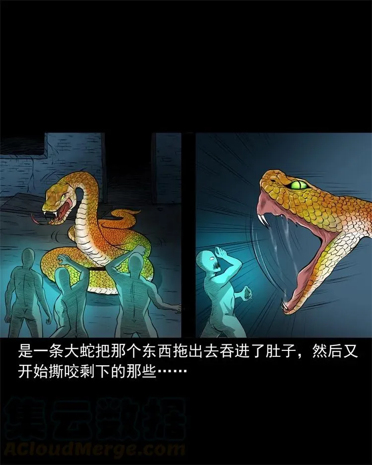 270 善报 第37页