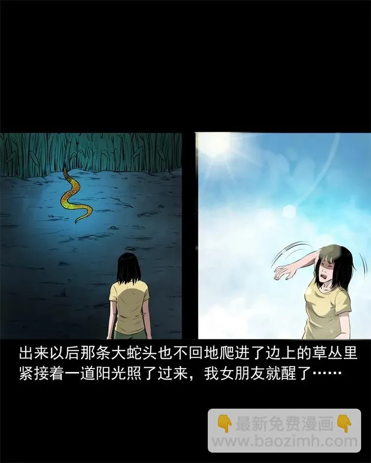 270 善报 第43页