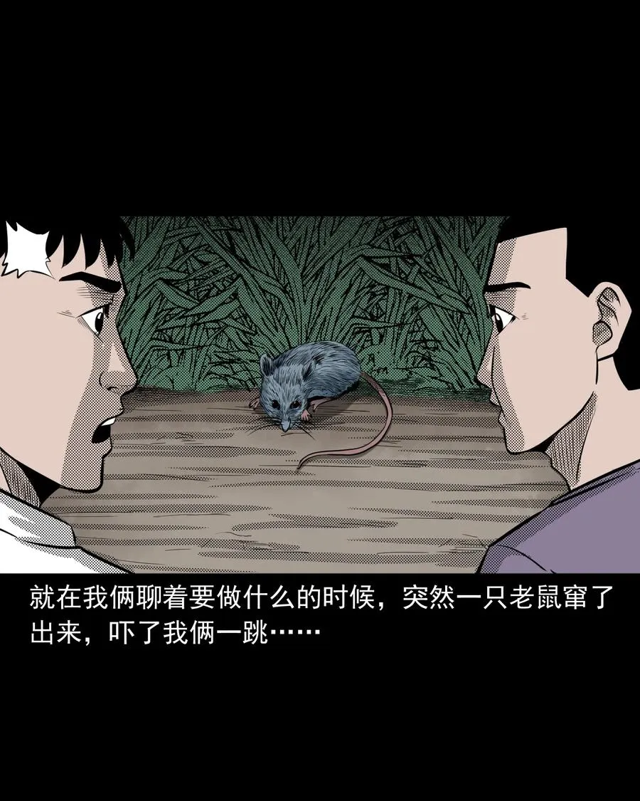 282 老鼠成仙 第7页