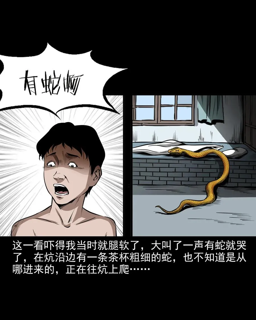 291 蛇祸 第11页