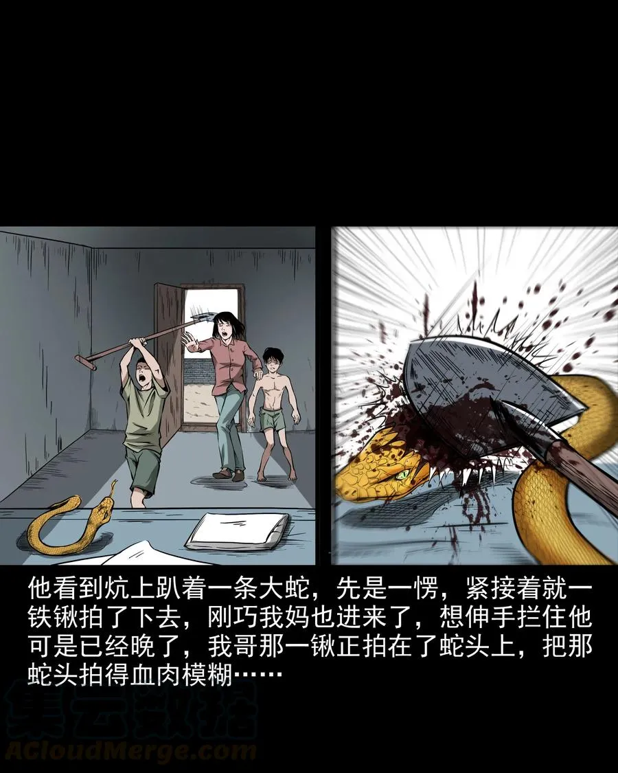 291 蛇祸 第13页