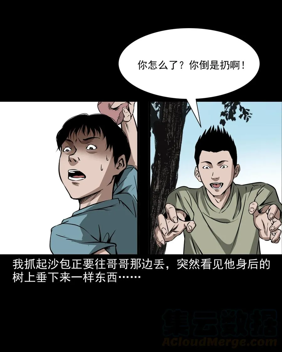 291 蛇祸 第17页