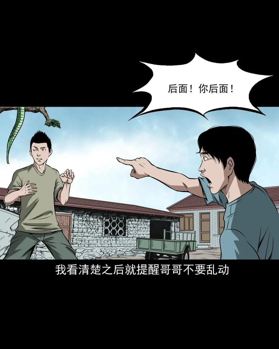 291 蛇祸 第18页