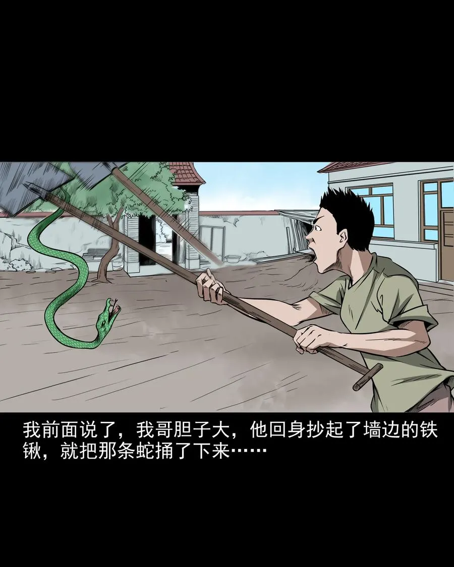 291 蛇祸 第20页