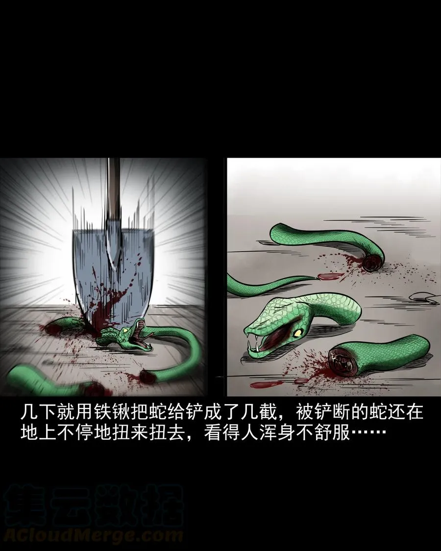 291 蛇祸 第21页