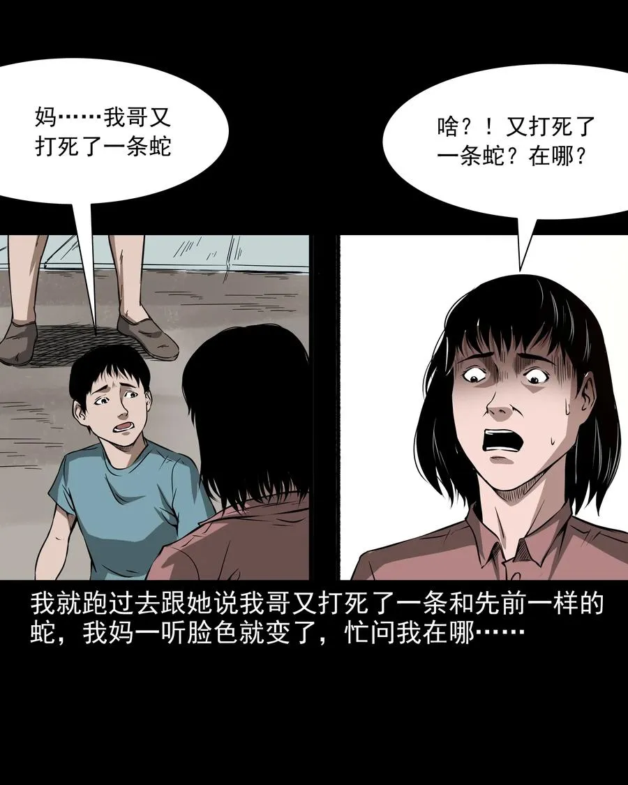 291 蛇祸 第23页
