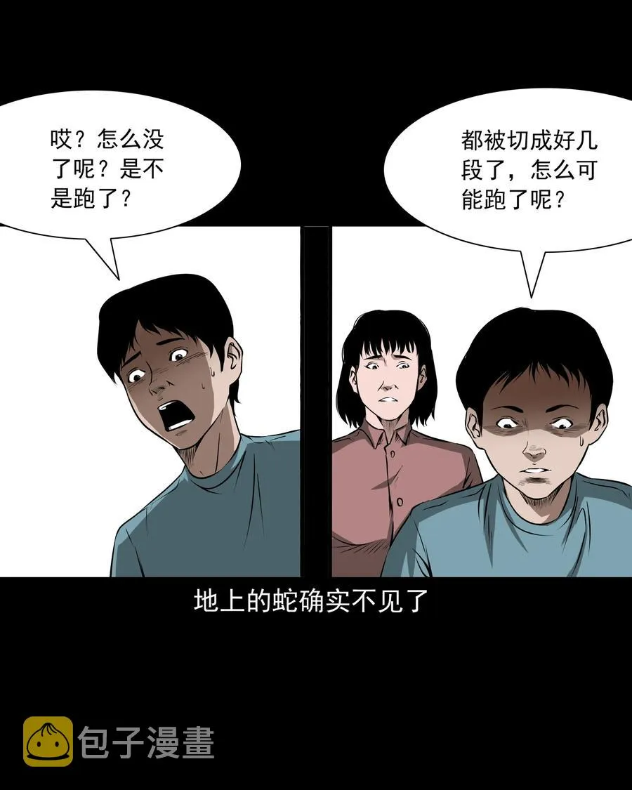 291 蛇祸 第27页